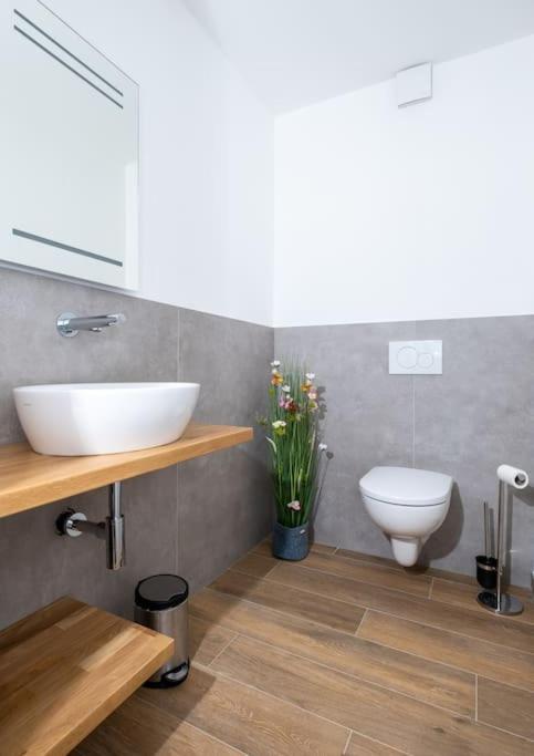 Ferienhaus Mountain View Six50 Mit Sauna Und Kamin In St. Andreasberg Sankt Andreasberg Eksteriør bilde