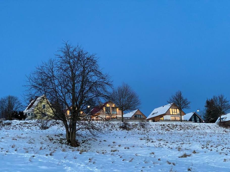 Ferienhaus Mountain View Six50 Mit Sauna Und Kamin In St. Andreasberg Sankt Andreasberg Eksteriør bilde